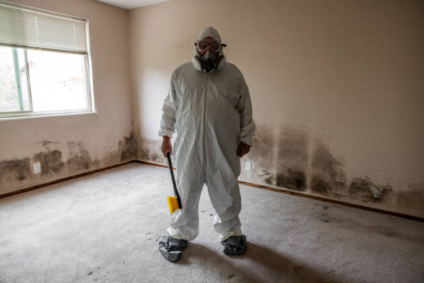Best HVAC Mold Remediation in Hagerman, ID